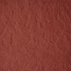 Artist Canvas - Red Earth