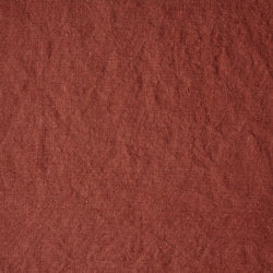 Artist Canvas - Red Earth
