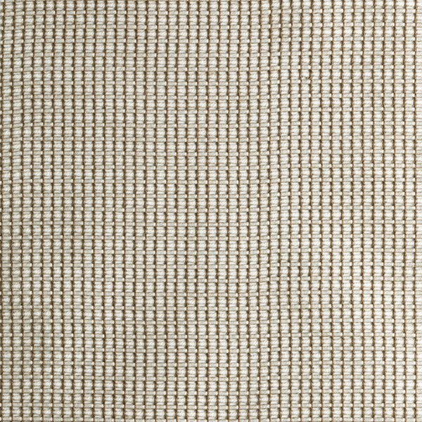 Atelier - Calico