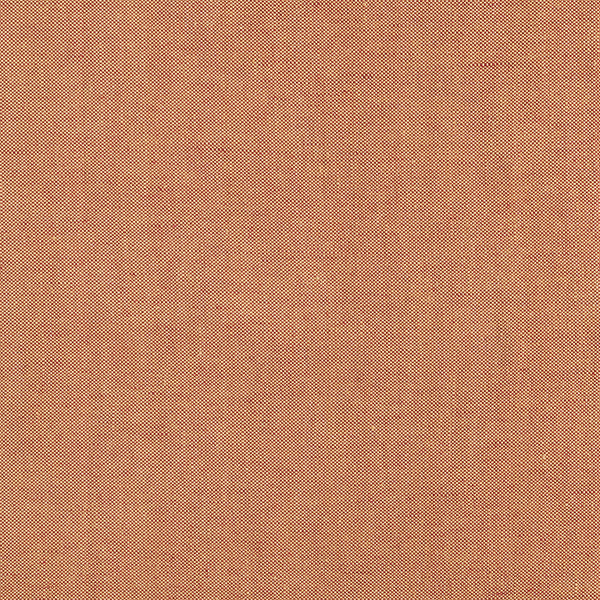 Autumn - Ochre