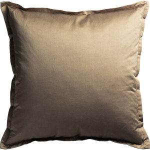 Old Hollywood Cushion - Flicker